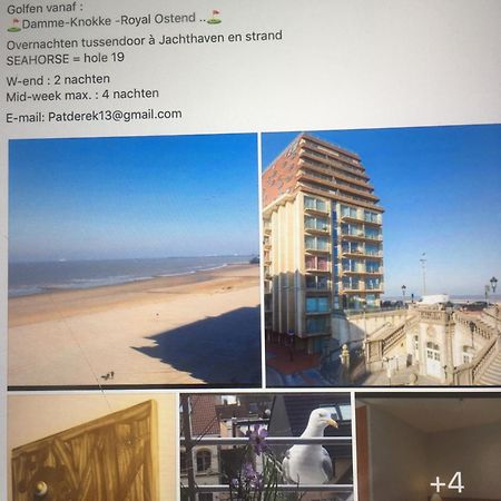 Golfsuite 13 布兰肯贝赫 外观 照片